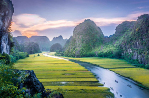 HOA LƯ - TAM CỐC - HANG MÚA - BÁI ĐÍNH - TRÀNG AN