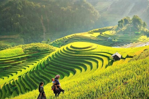 SAPA - CÁT CÁT - LAO CHẢI - TẢ VAN - FANSIPAN 