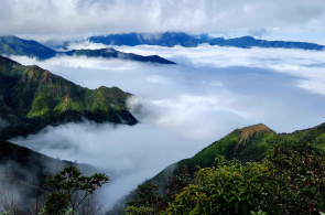 SĂN MÂY TÀ XÙA - THẢO NGUYÊN - CÂY CÔ ĐƠN - MỎM CÁ HEO 2N1Đ