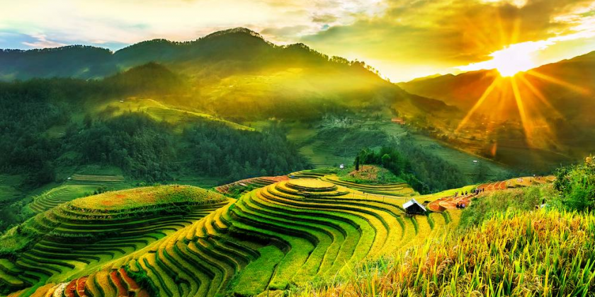 Ruộng bậc thang Tây Bắc
