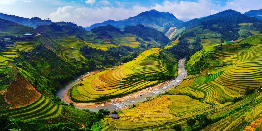 Mù cang chải
